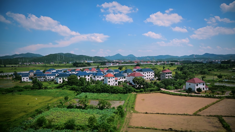 Photo Local SEO