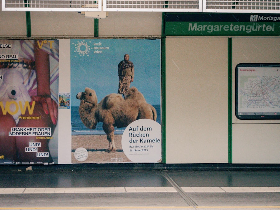 Photo paid ad campaigns