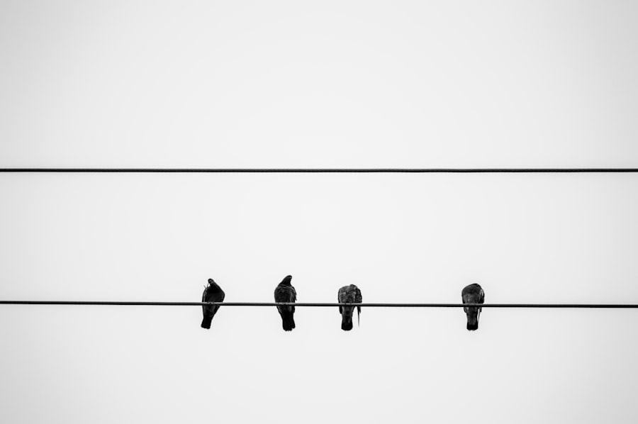 Photo lead magnet ideas