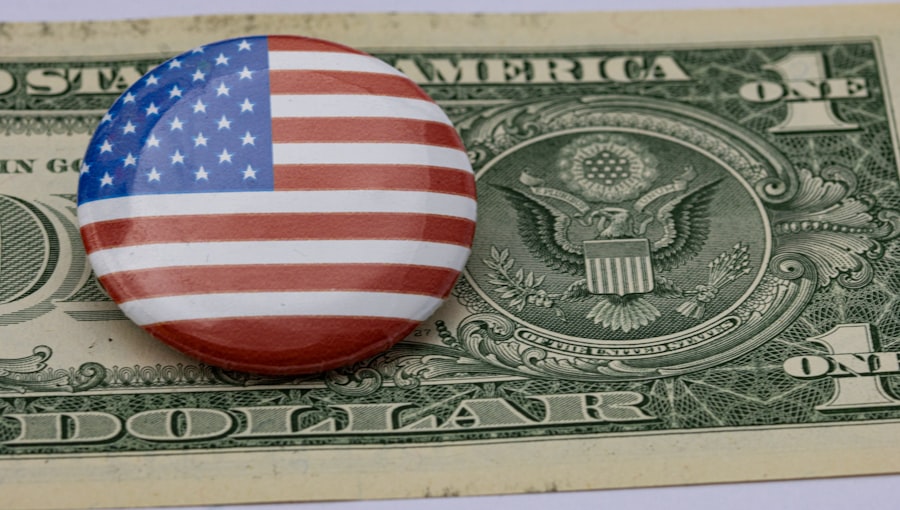 government subsidies